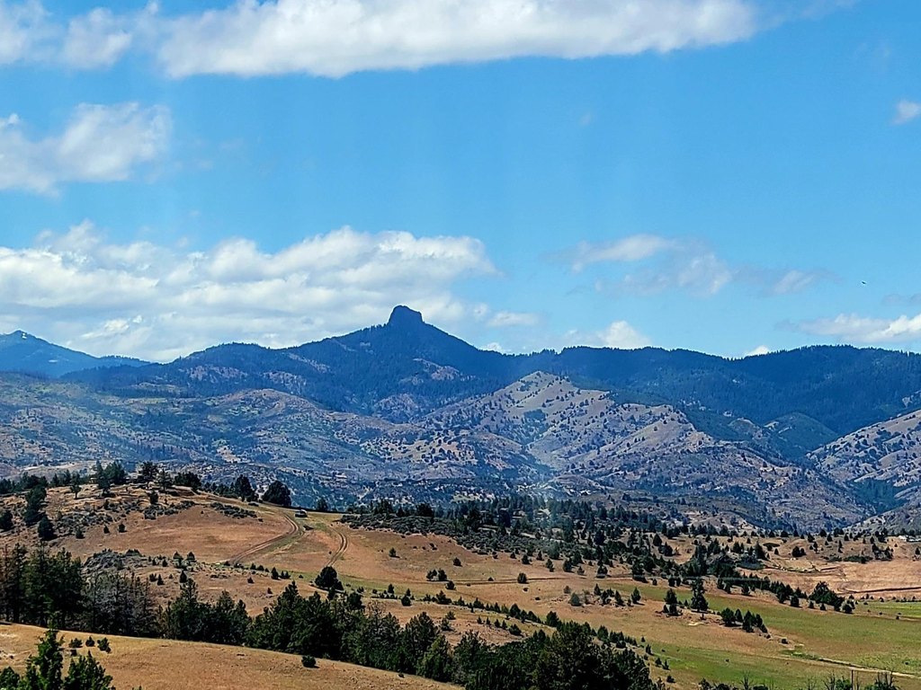 Picture 29