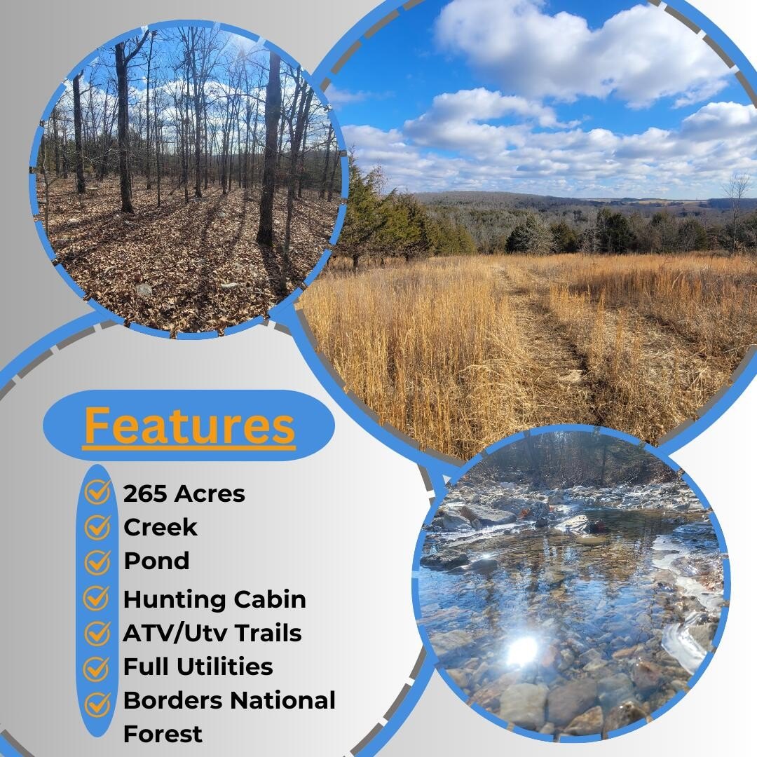 Secluded Hunting Land Near National Forest