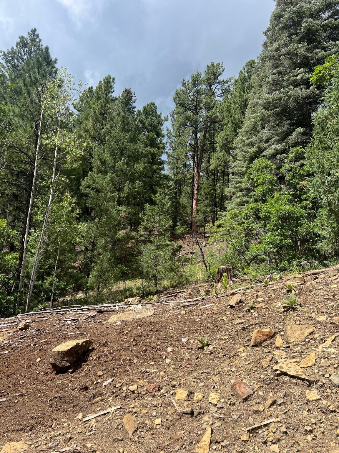 Land Near Pecos River