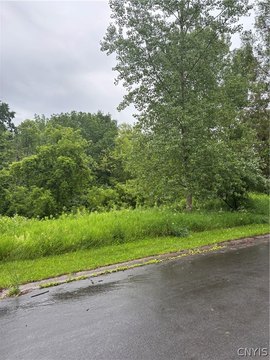 LAND - Manlius, NY