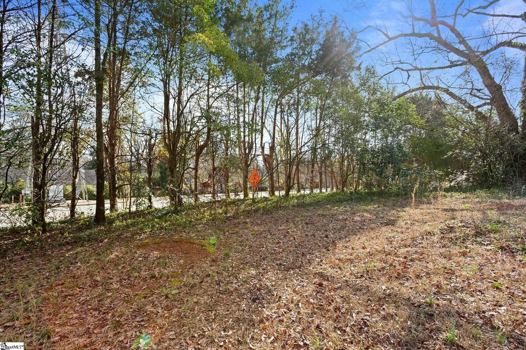 Picture 35
