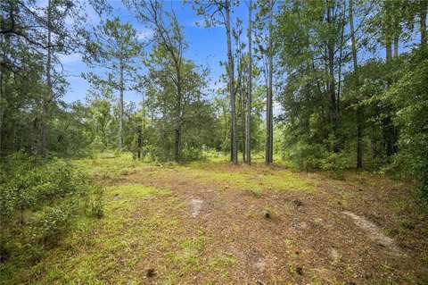 Land, MORRISTON, FL