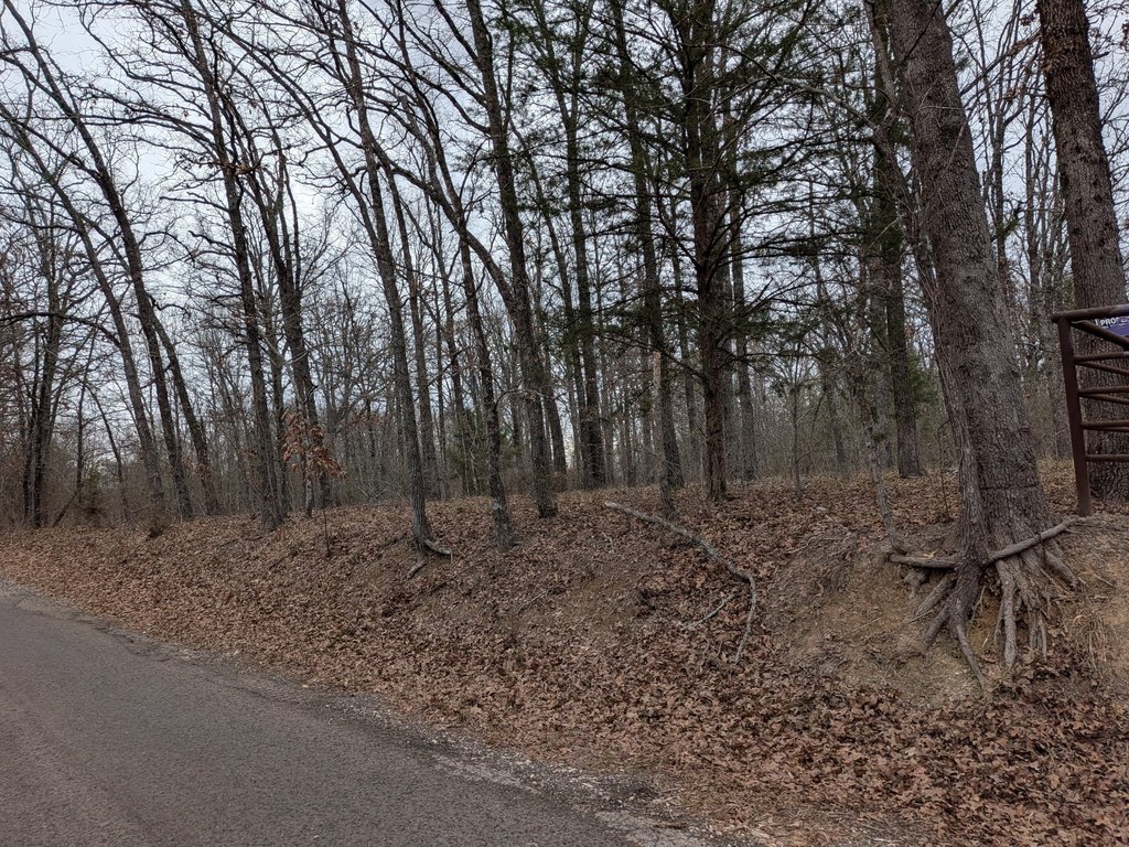 Picture 3