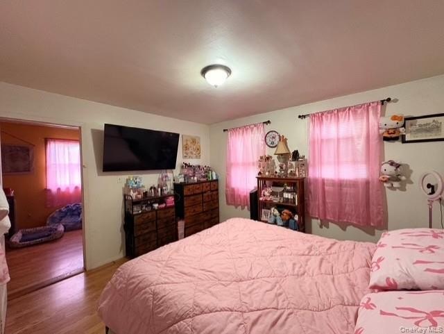 Picture 14