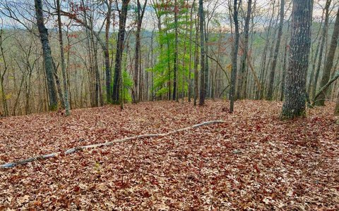 Residential Building Lot on Harris Creek