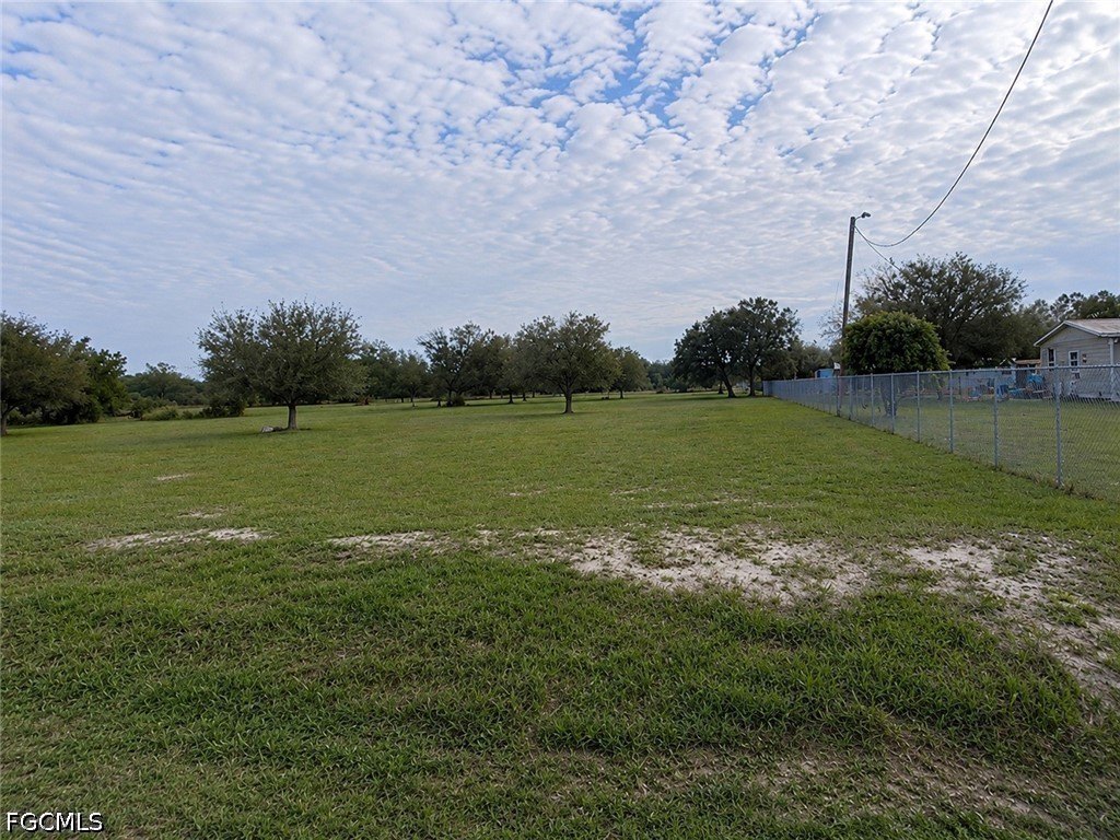 Picture 4