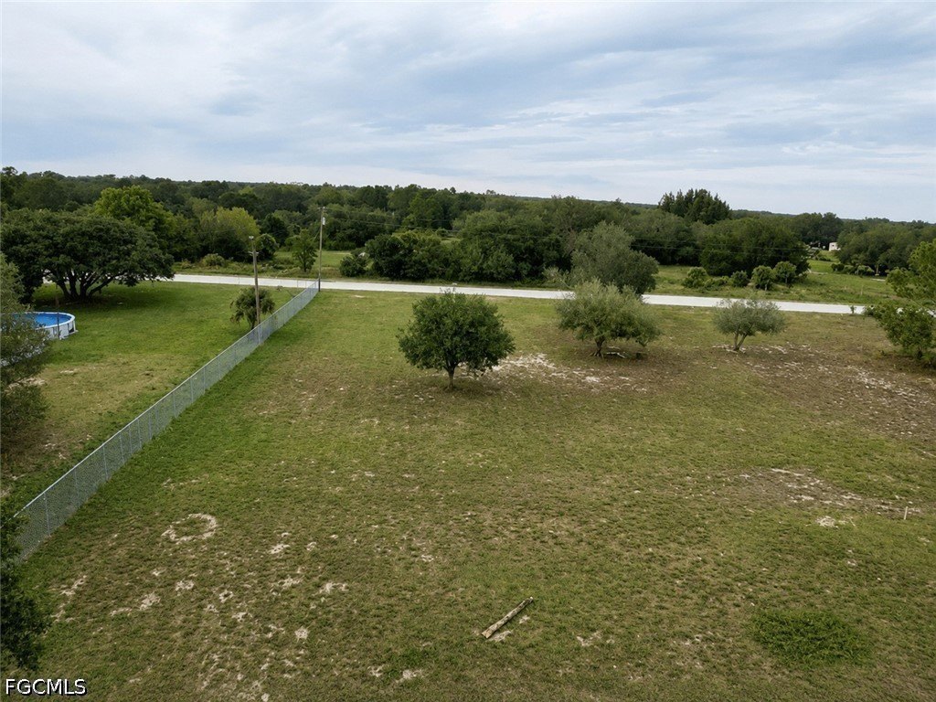Picture 5