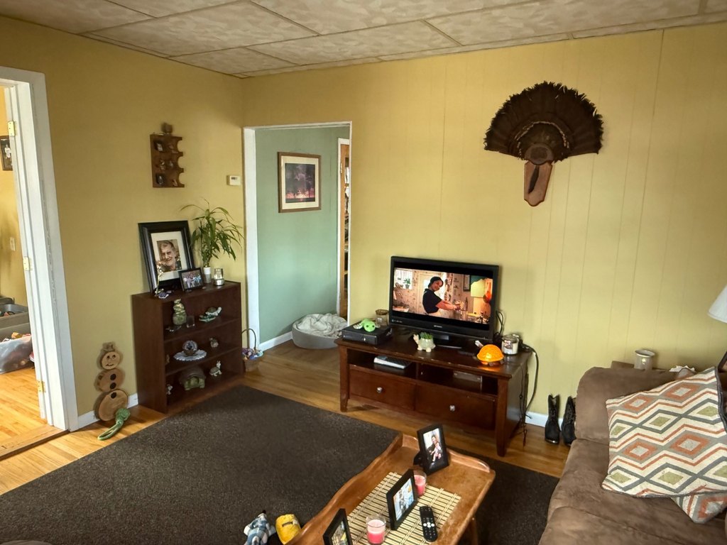 Picture 15