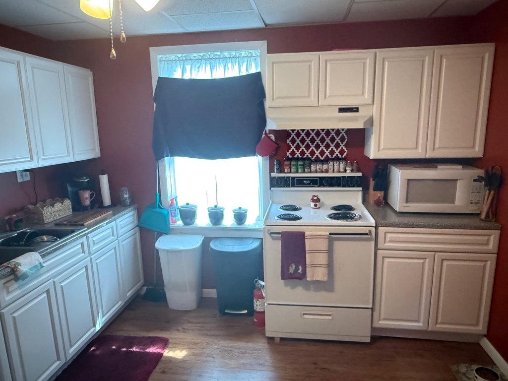 Picture 23
