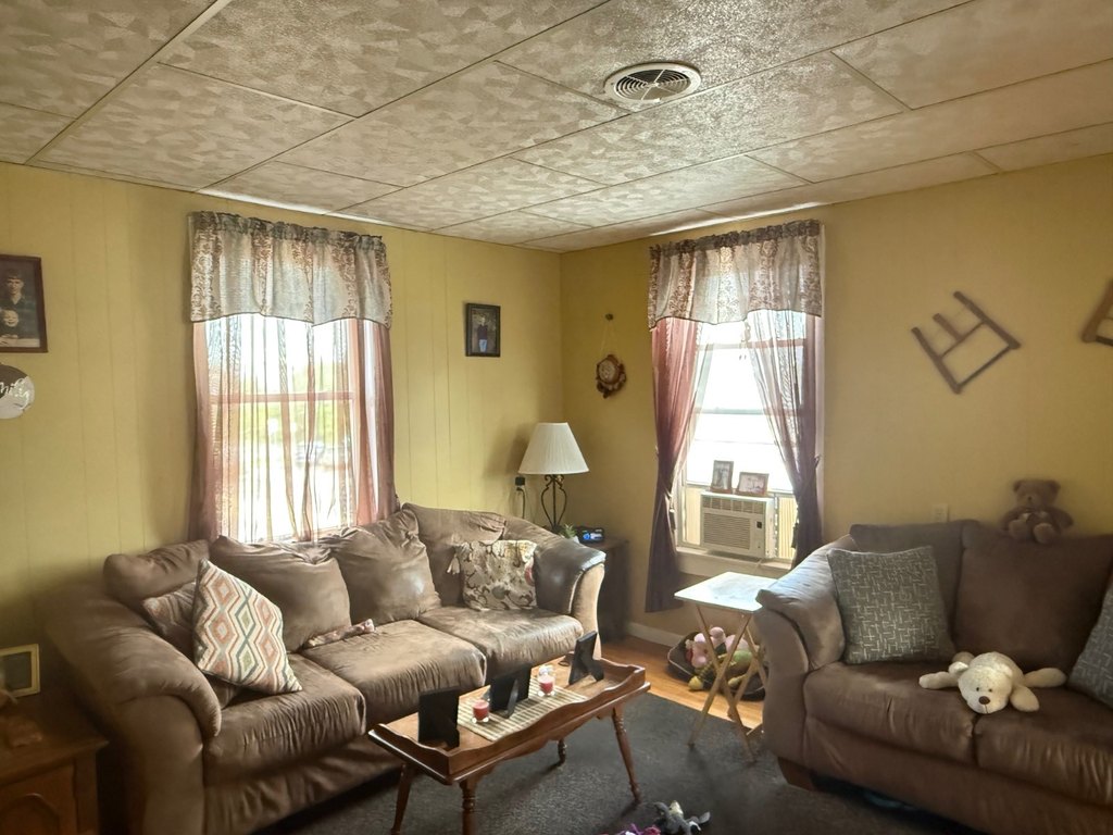 Picture 14