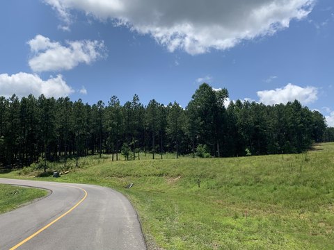 Interior Homesite in Gated Community