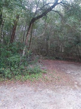 Residential Land in Silver Springs