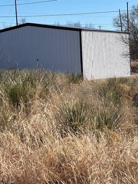 Picture 5