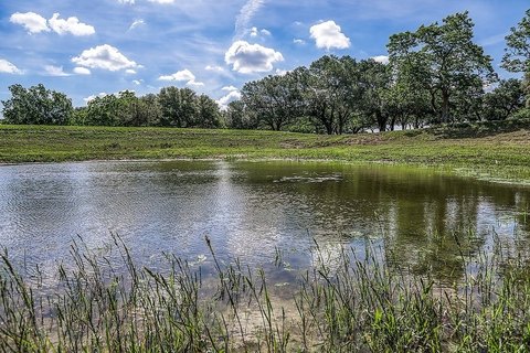 LAND - Brenham, TX