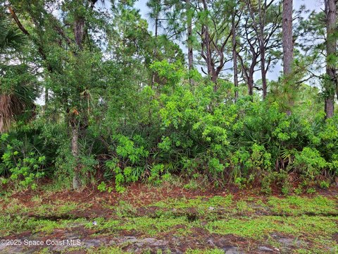 Land on Eldron Boulevard