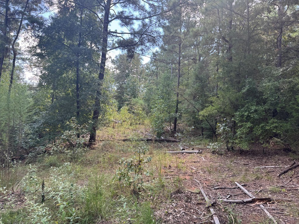 Picture 4