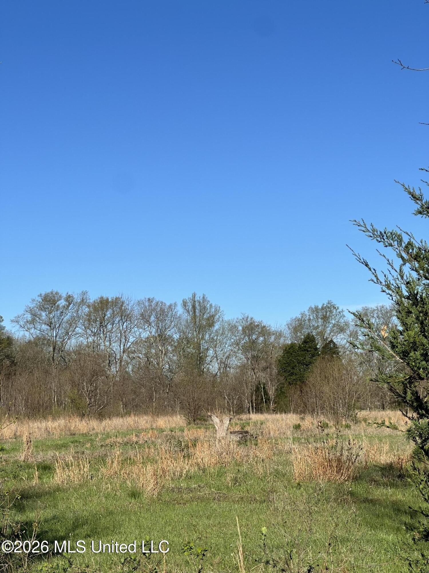 Residential Homesite in Pearl, MS
