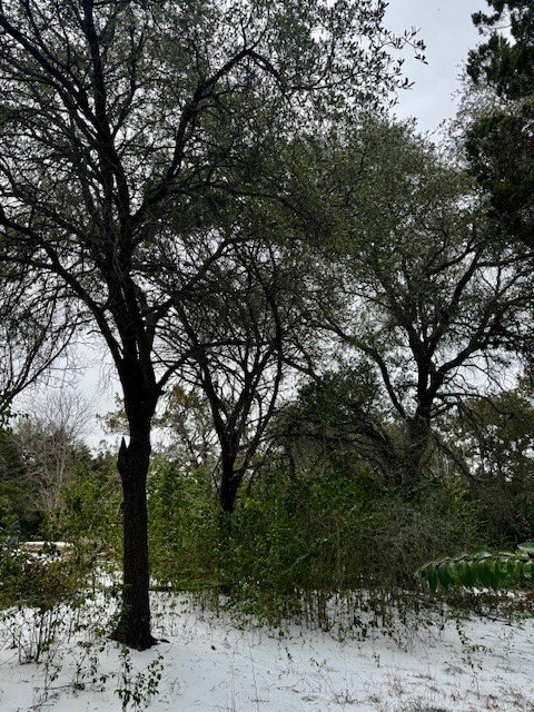 Picture 8