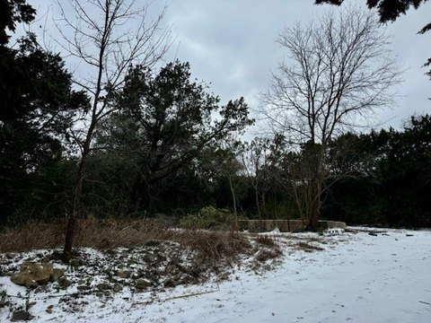 Land For Sale in Whitney