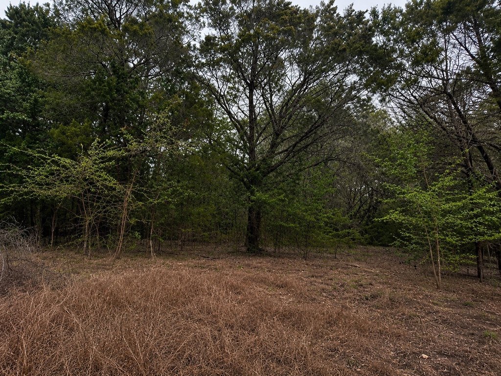 Picture 4
