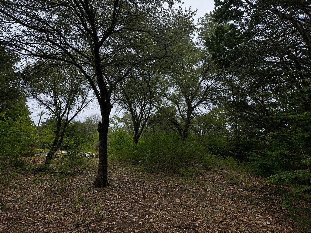 Picture 9