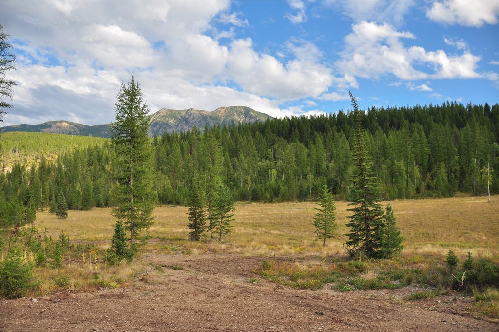 Picture 20