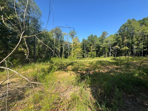 Land, Hamilton, AL