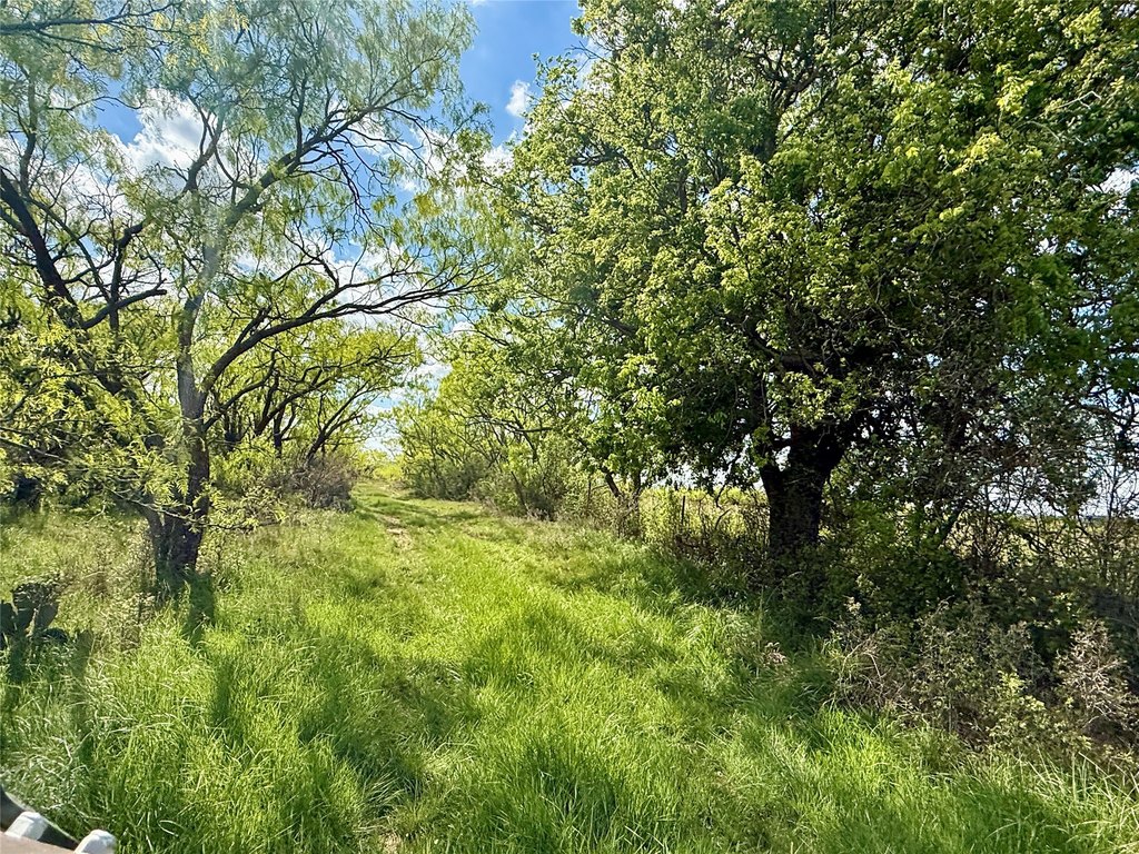 Picture 30