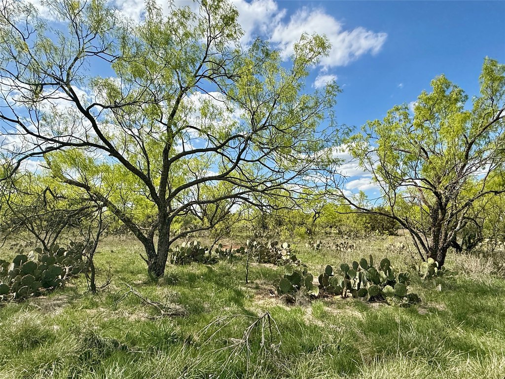 Picture 29