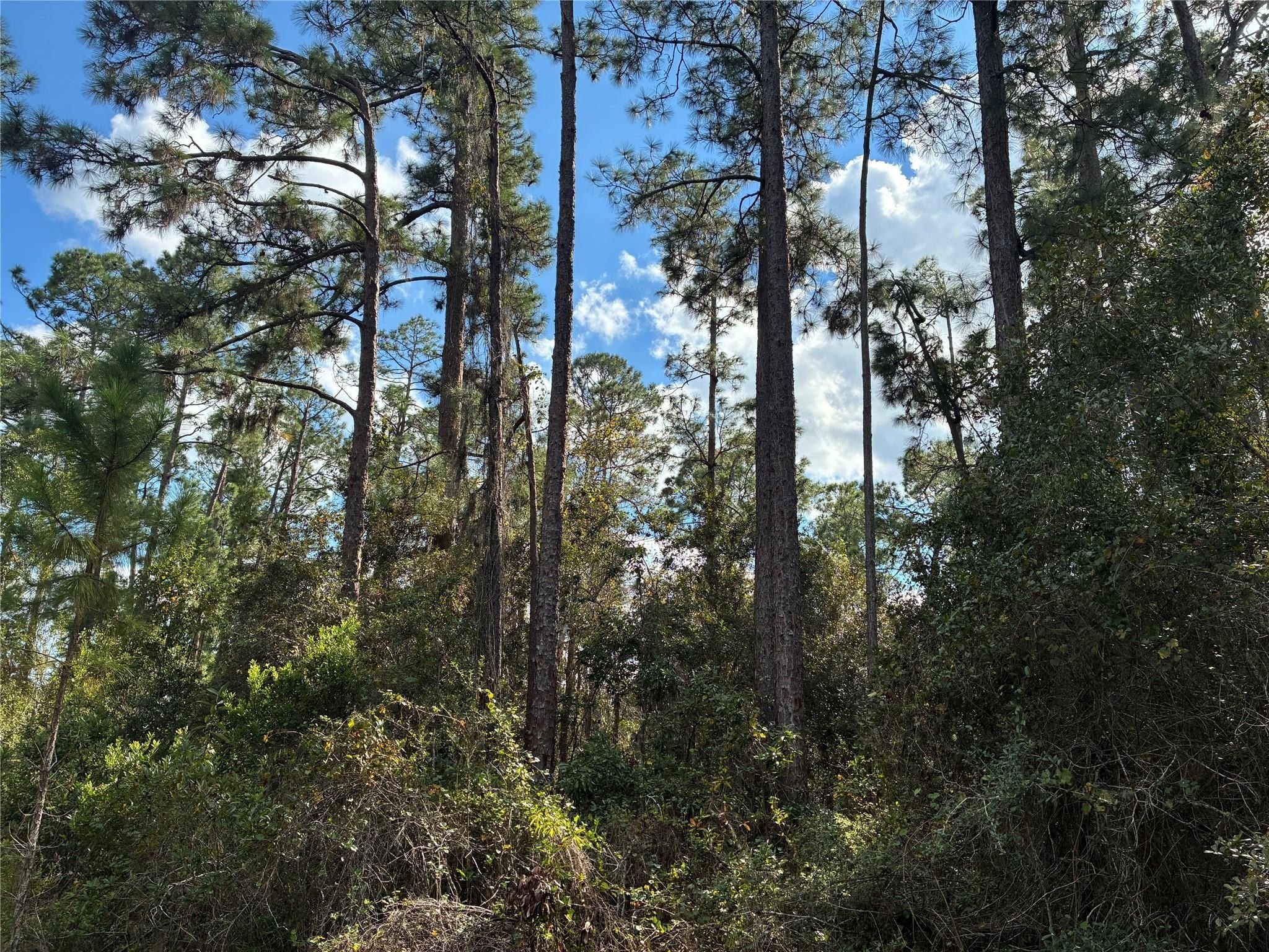 Residential Land Near Clubhouse