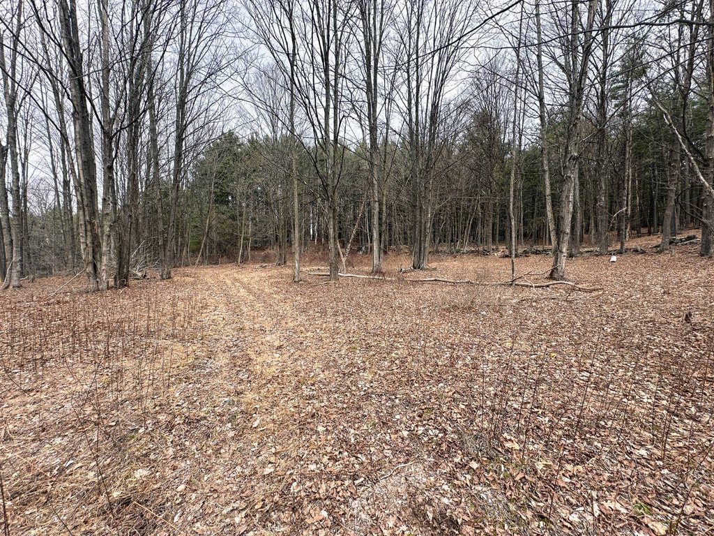 Picture 14