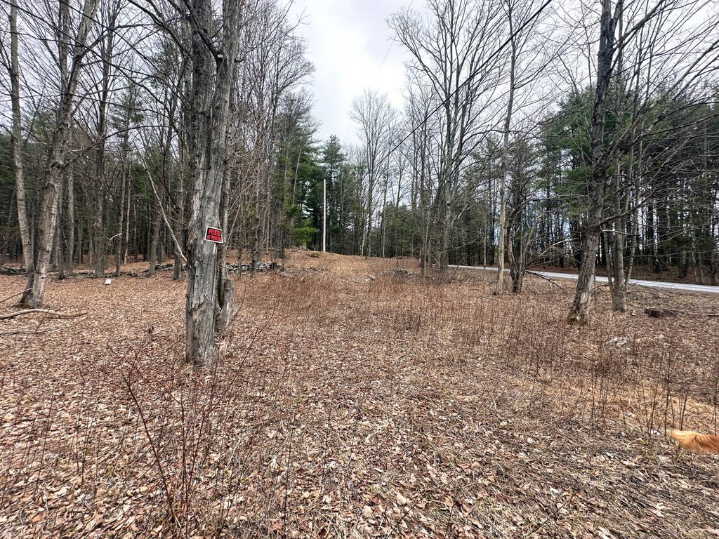 Picture 15