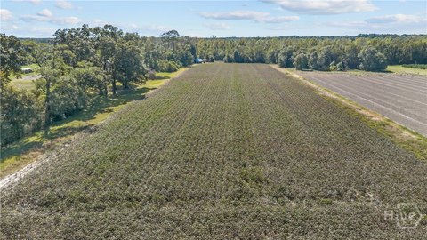 Flat Agricultural Land