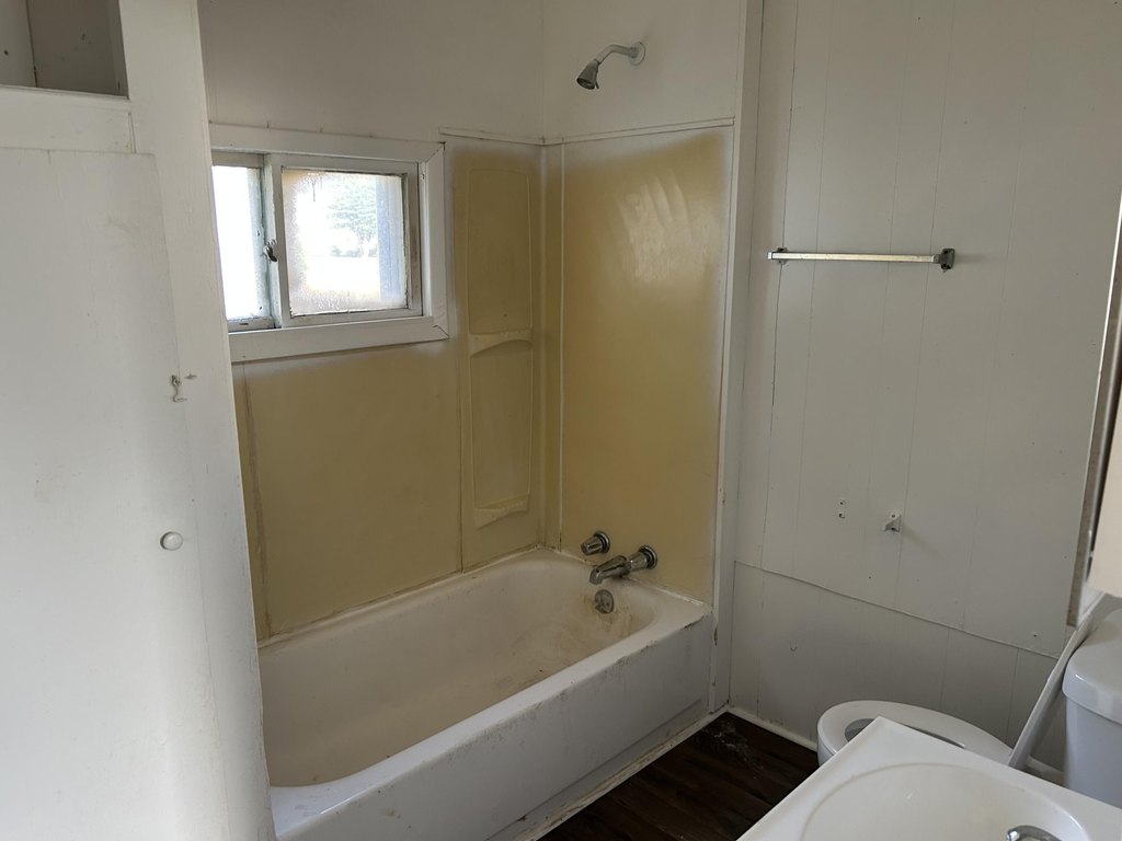 Picture 7