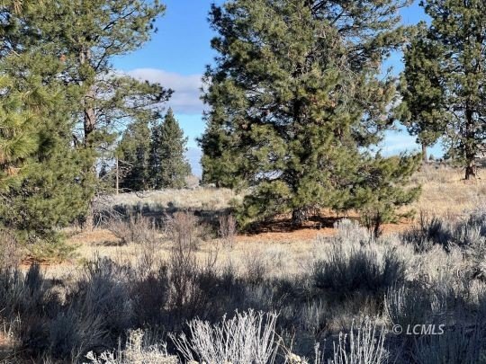 Acre Lot with Lake Views