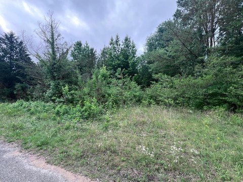 Land - Haleyville, AL