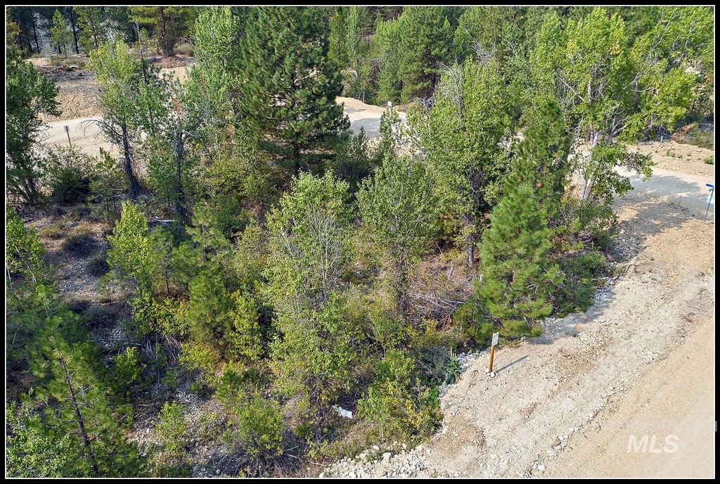 Picture 4