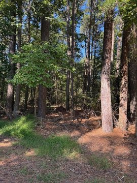 Residential Lot in Greenbackville, VA