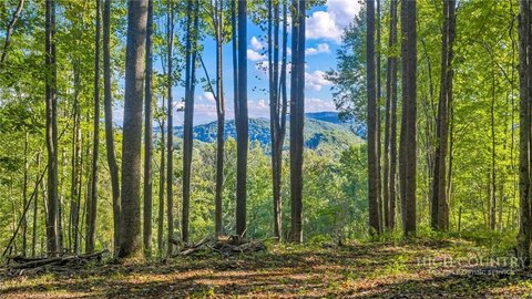 Land, Whitetop, VA