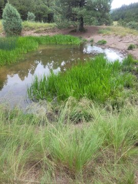 30 Acres in Sacramento, NM