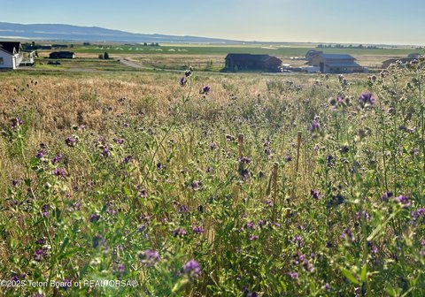Horse Friendly Land in Tetonia
