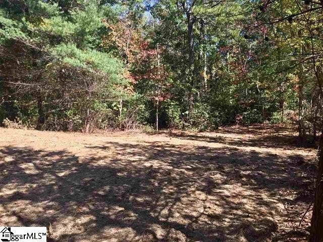 Homesite in The Cliffs Valley