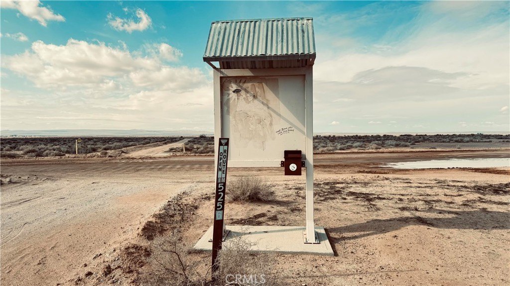 Picture 21