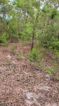 Land, INTERLACHEN, FL