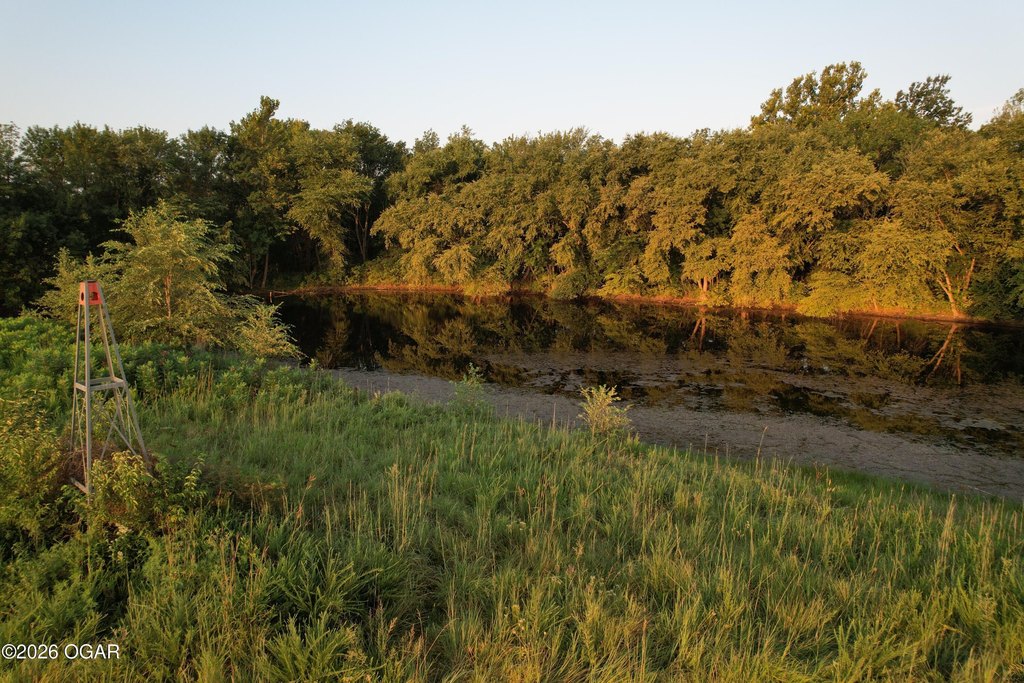 Picture 37
