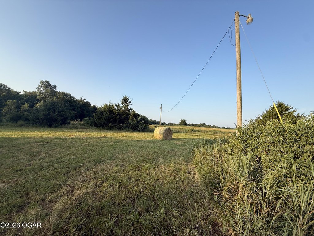 Picture 66