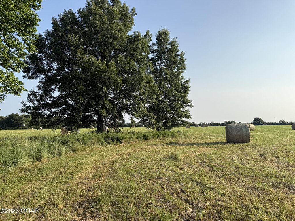 Picture 68