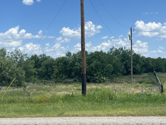Picture 12