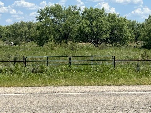 LAND - Other - Graham, TX