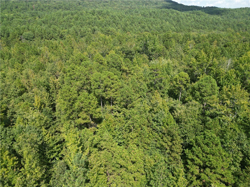 Dover, AR Recreational Land